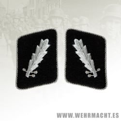 SS-Standartenfuhrer's wire collar patches
