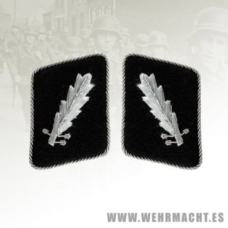 Parches de cuello SS, Coronel