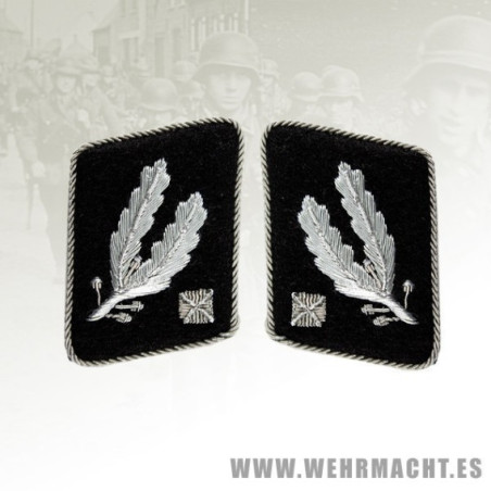 SS-Brigadefuhrer's wire collar patches (pre 1942)