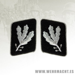 SS-Gruppenfuhrer's wire collar patches (pre 1942)