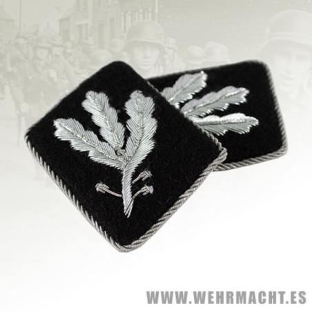 SS-Gruppenfuhrer's wire collar patches (pre 1942)