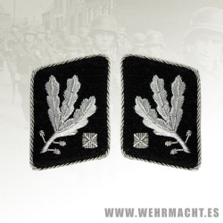 Parches de cuello SS Obergruppenfuhrer (pre 1942)