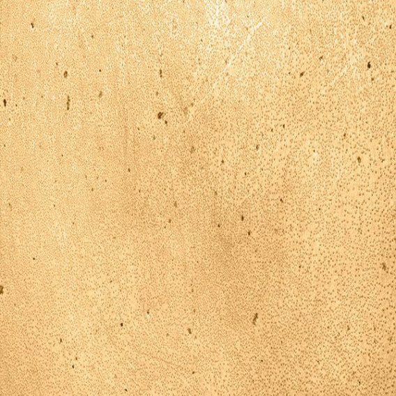 Tropical camouflage color for mask canteen