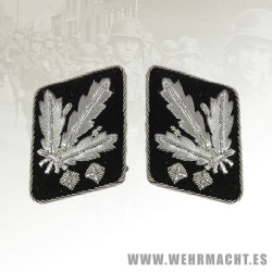 SS-Obergruppenfuhrer collar tabs