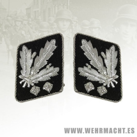 Parches de cuello SS Obergruppenfuhrer