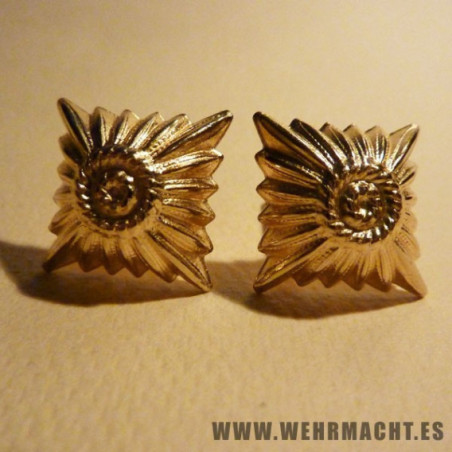 Estrellas doradas para hombreras
