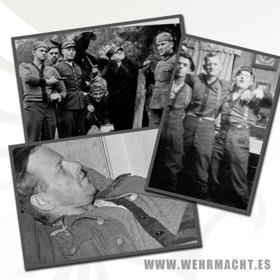 German Reichswehr Cardigan