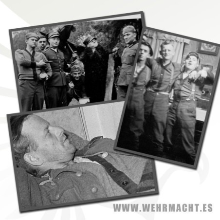 German Reichswehr Cardigan