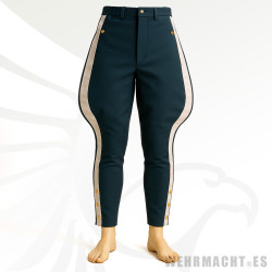 Luftwaffe Stiefelhose for Generals