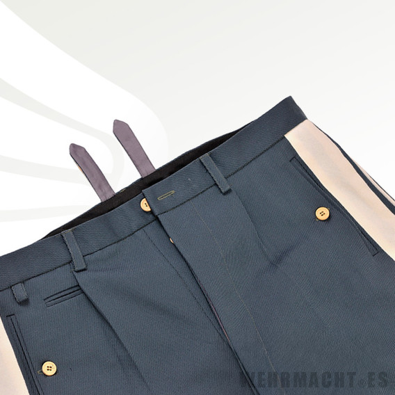 Luftwaffe Stiefelhose for Generals