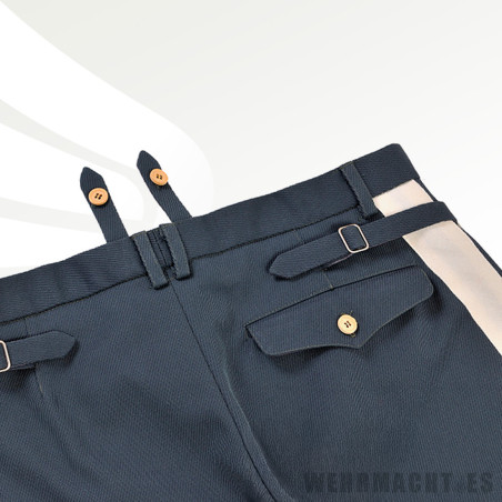 Luftwaffe Stiefelhose for Generals