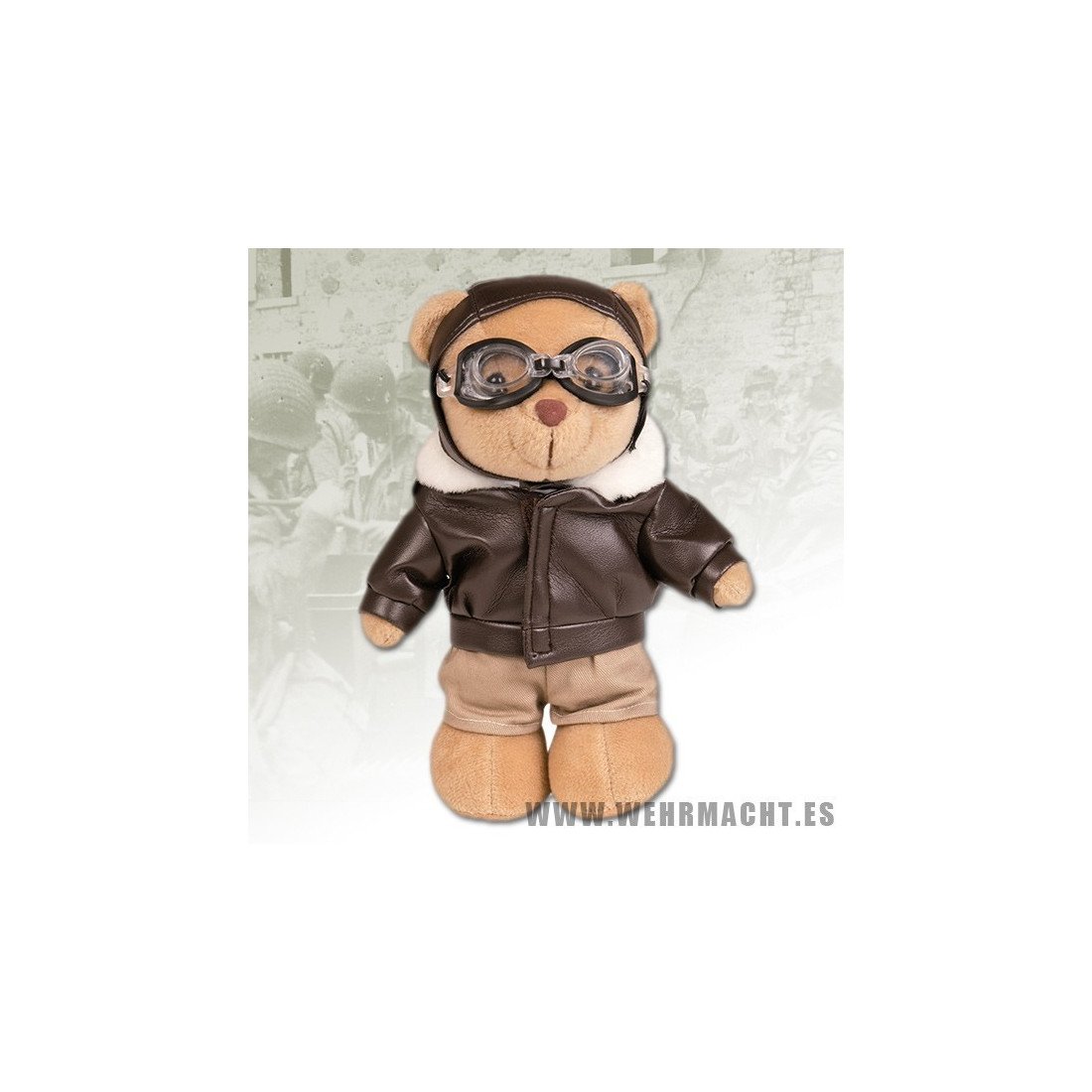 teddy bear pilot outfit