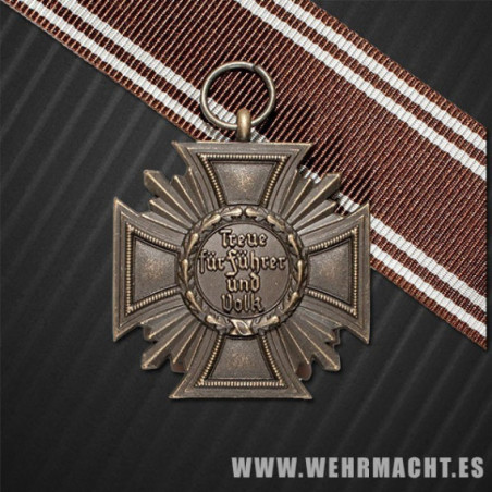 Medalla de servicio en el NSDAP (10 años)