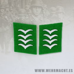 Felddivision enlisted man's collar patches,  Hauptgefreiter/Oberfeldwebel
