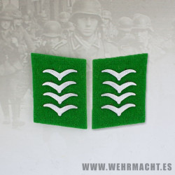 Parches de cuello Felddivision, Hauptgefreiter/Oberfeldwebel