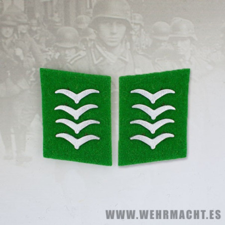 Felddivision enlisted man's collar patches,  Hauptgefreiter/Oberfeldwebel