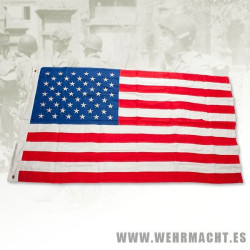 U.S. Flag with 50 Stars