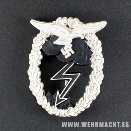 Luftwaffe Ground Assault Award