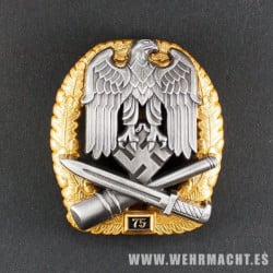 Army General Assault Badge for 75 Engagements