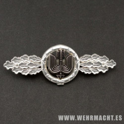 Luftwaffe Air-Ground Support Clasp (Silver)