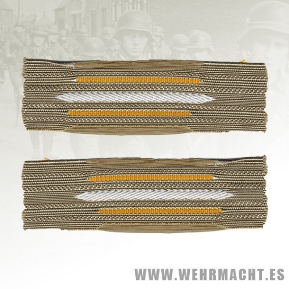 Coastal Artillery enlisted mans collar patches