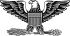 Colonel