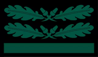 Major