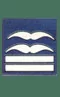 Oberstleutnant
