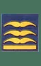 General