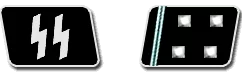 SS-Obersturmbannfuhrer