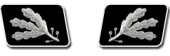 SS-Gruppenfuhrer