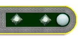 Oberfeldwebel